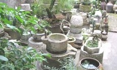 Ngỡ ngàng trước một “bảo tàng nhà quê”