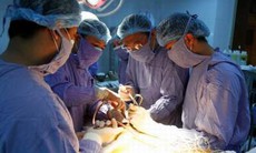 Phẫu thuật thành công cho bệnh nhi bị teo thực quản