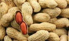 Lạc ngâm giấm giúp hạ huyết áp