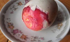 Kiểm nghiệm trứng vịt có lòng đỏ như máu