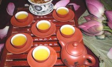Trà dược trị xuất huyết do nhiệt
