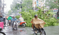 Mùa mưa bão, thông tin về hồ chứa phải cập nhật 2 giờ/lần