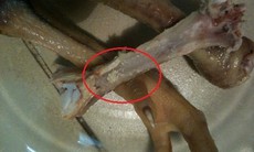 Chết khiếp vì phát hiện giòi trong chân gà luộc