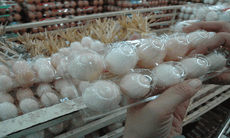 Lẫn lộn trứng gà ác thật - giả