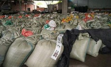 Trung Quốc: Nấm kim châm ngâm hóa chất cực độc