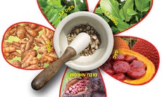 Cây thuốc có chất màu thực vật