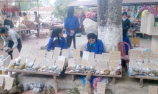 Thuốc không rõ nguồn gốc bày bán tràn lan