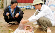 Canh cánh nỗi lo ngộ độc nấm