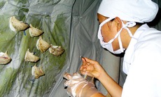 Phòng chống dịch: Không buông lỏng, không nôn nóng!