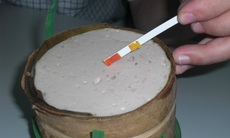 Tác hại của hàn the trong thực phẩm?