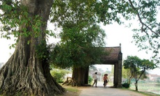 Những vướng mắc ở làng cổ Đường Lâm