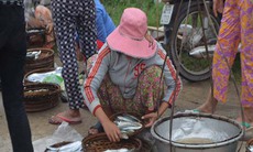 “Công nghệ tái sinh” hải sản bằng hóa chất