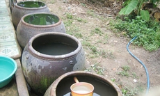 Bình Định: Sốt xuất huyết vẫn phức tạp 