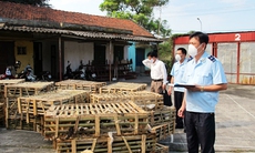 Hết gà, cá... giờ đến mèo nhập lậu