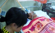 Hít khí độc trong hầm cá, 5 người thương vong