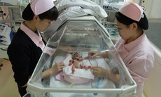 Em bé tí hon ra đời tại Trung Quốc