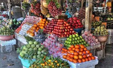 Gần một nửa rau quả nhập khẩu là hàng Trung Quốc