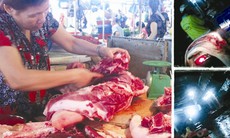 Chợ trộn heo bệnh, heo lành