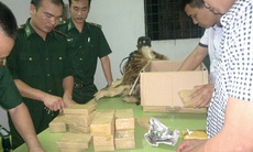 Quảng Ninh: Bắt giữ 40 bánh heroin và triệt phá đường dây buôn người 