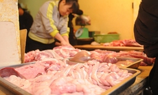 Lại cho nhập nội tạng trắng!
