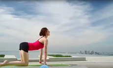 Bài tập Yoga giúp giảm mỡ bụng nhanh chóng
