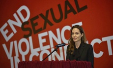 Angelina Jolie trở thành giảng viên 