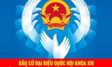 Một số tỉnh, thành phố đã có Chủ tịch UBND mới