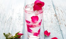 Uống nước hoa hồng ngăn ngừa nếp nhăn, cho làn da căng mọng
