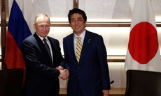 Putin, Abe nhất trí cùng phát triển ở nhóm đảo tranh chấp