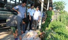 Tiêu hủy 45 kg cánh gà nhập khẩu đã hết hạn sử dụng