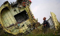 Malaysia hy vọng biết nghi phạm bắn rơi MH17 vào cuối năm nay