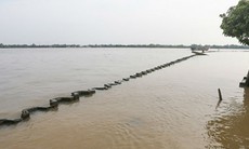 Thủ tướng yêu cầu kiểm tra phản ánh lấp sông Tiền xây công viên trái cây