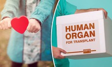 Anh quốc: Hơn 50 nghìn người được cứu sống nhờ tạng hiến