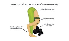 5 bài tập đơn giản giúp đẩy lùi bệnh tật