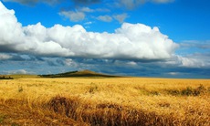 Người dân Ukraine phản đối đề xuất cho phép bán đất nông nghiệp