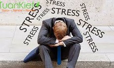 Ảnh hưởng của stress đến tính dục