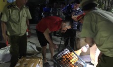 Quảng Bình: phát hiện xe khách chở nội tạng lợn từ vùng có ổ dịch lợn châu Phi