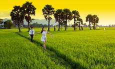 Tản mạn Tết Tây Tết Ta