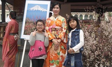 Dân Hà Nội nô nức đi lễ hội hoa anh đào Nhật Bản