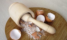 Băng gạc làm từ vỏ trứng ?