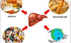 Dược thiện chữa viêm gan trúng độc