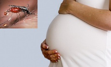 Nguy cơ sảy thai ở thai phụ bị sốt rét