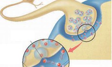 Ðối phó với trầm cảm đối tượng nào dễ bị trầm cảm?