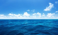 Lọc nước biển luyện thép - Viển vông