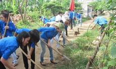 Sốt xuất huyết và những lưu ý khi chữa trị