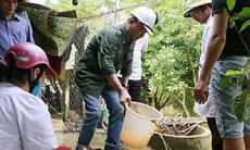 Y tế Quảng Bình, Hà Tĩnh giúp dân xử lý môi trường, phòng bệnh sau lũ
