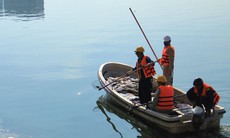 Cá chết nổi trắng Hồ Linh Đàm, Hà Nội: Khẩn trương tìm nguyên nhân