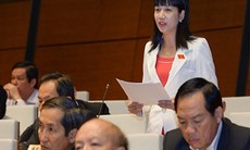 Quốc hội thảo luận Dự án Luật Trợ giúp pháp lý Bạo lực gia đình đã trở thành vấn nạn xã hội đáng báo động