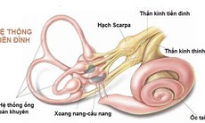 Lưu ý gì khi dùng thuốc chữa rối loạn tiền đình?