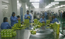 Còn nhiều khó khăn trong khởi kiện nợ đọng Bảo hiểm xã hội